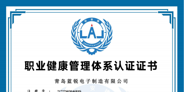 红杏AV成人网站電子職業健康管理體係認證證書