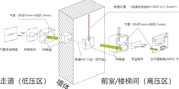 红杏成人看片下载APP安裝圖